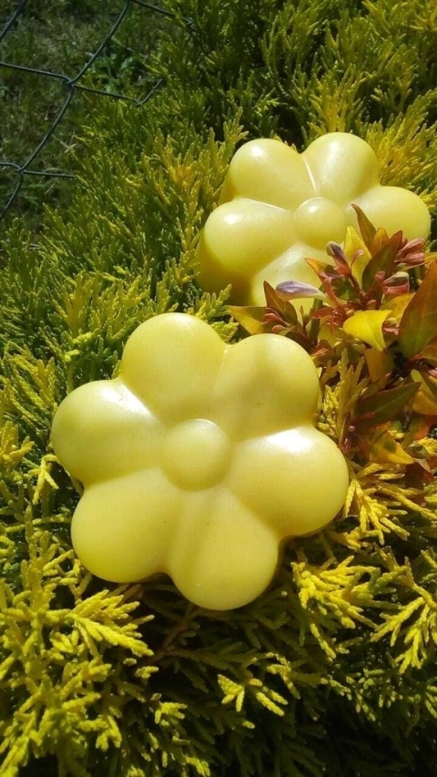 CREMA DE MANO SOLIDA 75 gr aprox