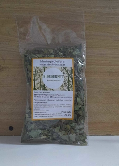 MORINGA x 20g