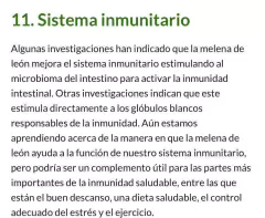 Imagen de MELENA DE LEON x 50 CC