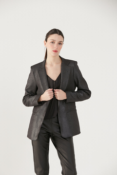Blazer Shiny
