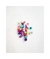 Mostacillon multicolor (100grs)
