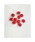 Gemas engarzadas oval (10 unidades)
