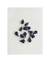 Gema engarzada gota 8x13 ( 10 unidades)