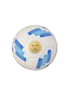 PELOTA DE FUTBOL Nº5 ARGENTINA en internet