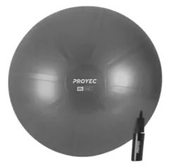 ESFERODINAMIA 55 CM REFORZADA CON INFLADOR