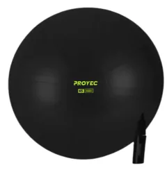 ESFERODINAMIA 65 CM REFORZADA CON INFLADOR