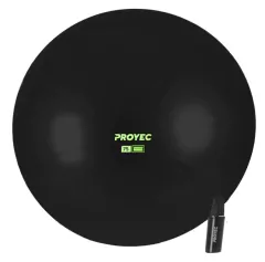 ESFERODINAMIA 75 CM REFORZADA CON INFLADOR en internet