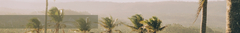Banner de la categoría Remeras