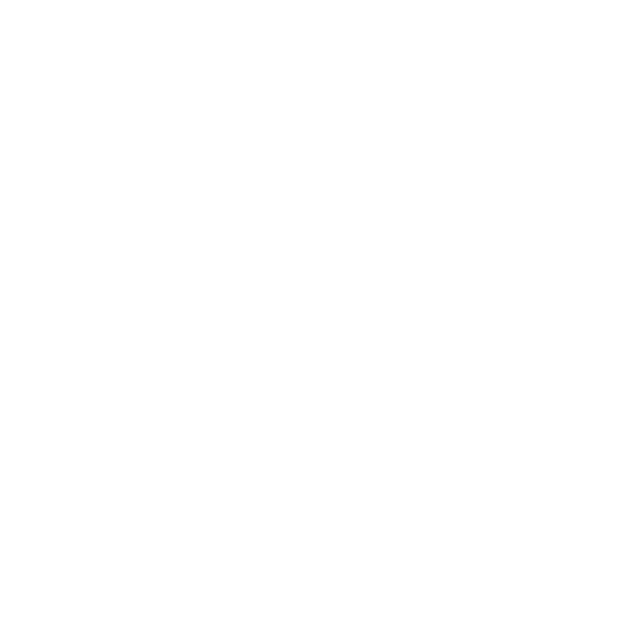 Ethical Bear