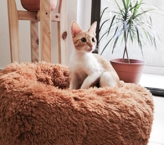 Puff Camita Nido Mascotas - Canela - tienda online