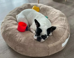 Puff Camita Nido Mascota - CORDERITO - comprar online