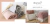 Carrusel Ekisetum Tienda Deco