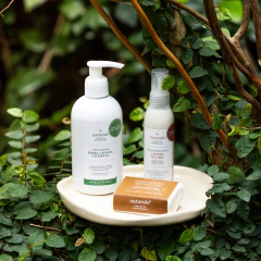 KIT DETOX FACIAL - comprar online