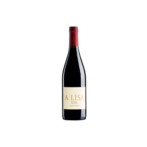 A Lisa Malbec 2024 - comprar online
