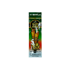 Blunt Master Wattermelon - Paquete x 4