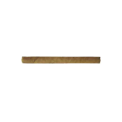 Cohiba Mini – Caja x 10 - comprar online