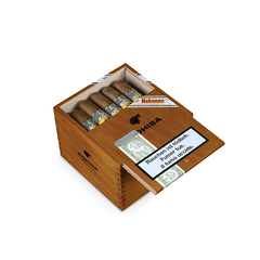 Cohiba Robustos - Caja x 25 unidades