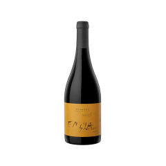 Emma Zuccardi