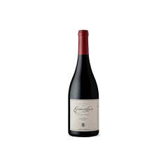 Escorihuela Gascón Pinot Noir