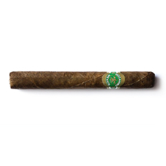 Mocambo Breva – Mazo x 10 - comprar online