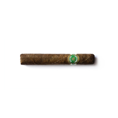 Mocambo Robusto – Mazo x 10 - comprar online