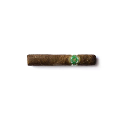 Mocambo Short Robusto – Unidad