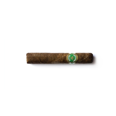 Mocambo Short Robusto – Mazo x 10 - comprar online
