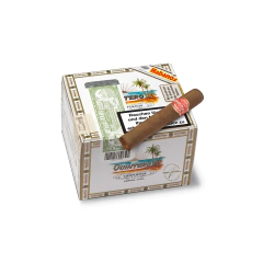 Quintero Petit Quintero - Caja x 25