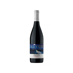 Terroir Valle de Uco Malbec