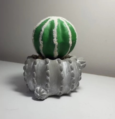 Molde em Silicone para Vaso Cacto Ref 883