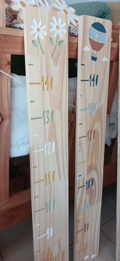 REGLA MEDIDORA - PECAZ