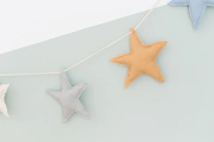 GUIRNALDA ESTRELLAS - PECAZ