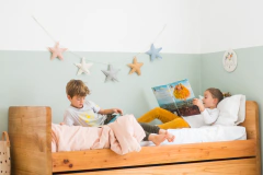 GUIRNALDA ESTRELLAS en internet