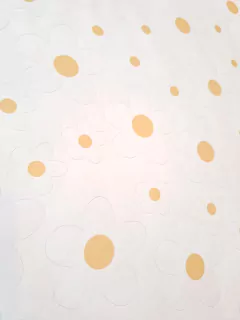 VINILOS MARGARITAS - PECAZ