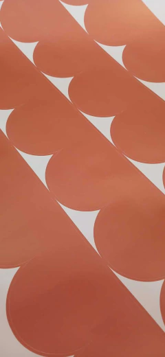 COMBO GUARDA + MARGARITAS en internet