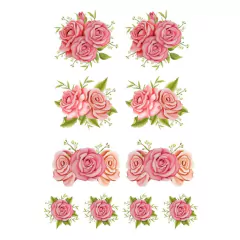 ROSAS | DECALQUE