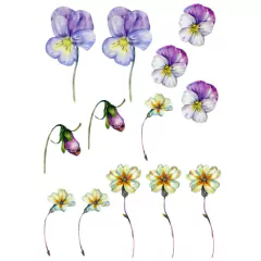 FLORES SILVESTRES | DECALQUE