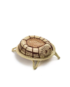 TORTUGA DE CARANDILLO