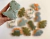 Set Dinos C2 - comprar online
