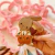 Conejito con Corazon - DeliPrint - Cortantes y Stencils 