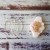 Stamp Relieve Mapache Indiecito - DeliPrint - Cortantes y Stencils 