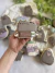 Gatito Pusheen D4 en internet