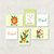 Kit Safari Santo Anjo - comprar online