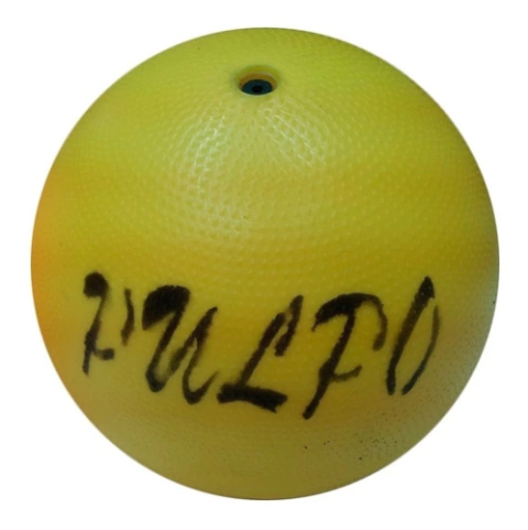Pelota Pulpo Nº2 Pvc Colegial Verano Jardin Escuelita Niños