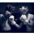 Gobernadora Escudo Potencia Redondo Boxeo Kick Box Muay Pad - tienda online