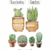 LD - CACTUS Y SUCUS X6 - CAMILA