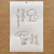 M - HONGOS 2 - 20x30cm - SG344