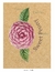 LDC - Sweet Peony - CAMILA