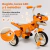 DINO400 - Cartan