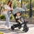 TRI100 - comprar online